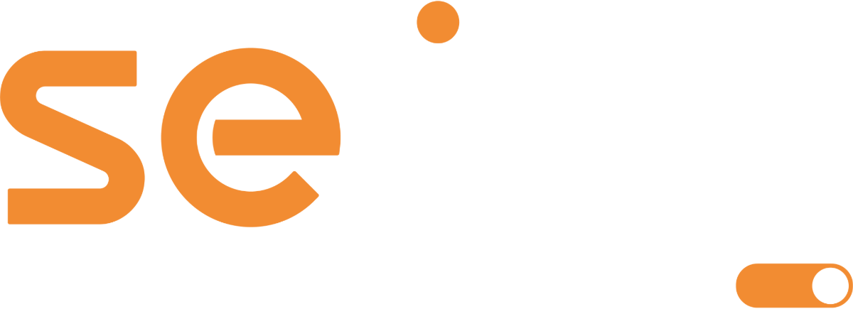 Seliga Internet